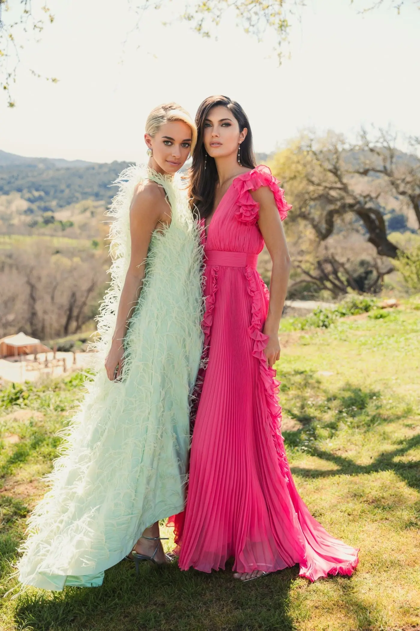 Pink Pleated Ruffle Cap Sleeve Flowy A Line Gown - Image 4
