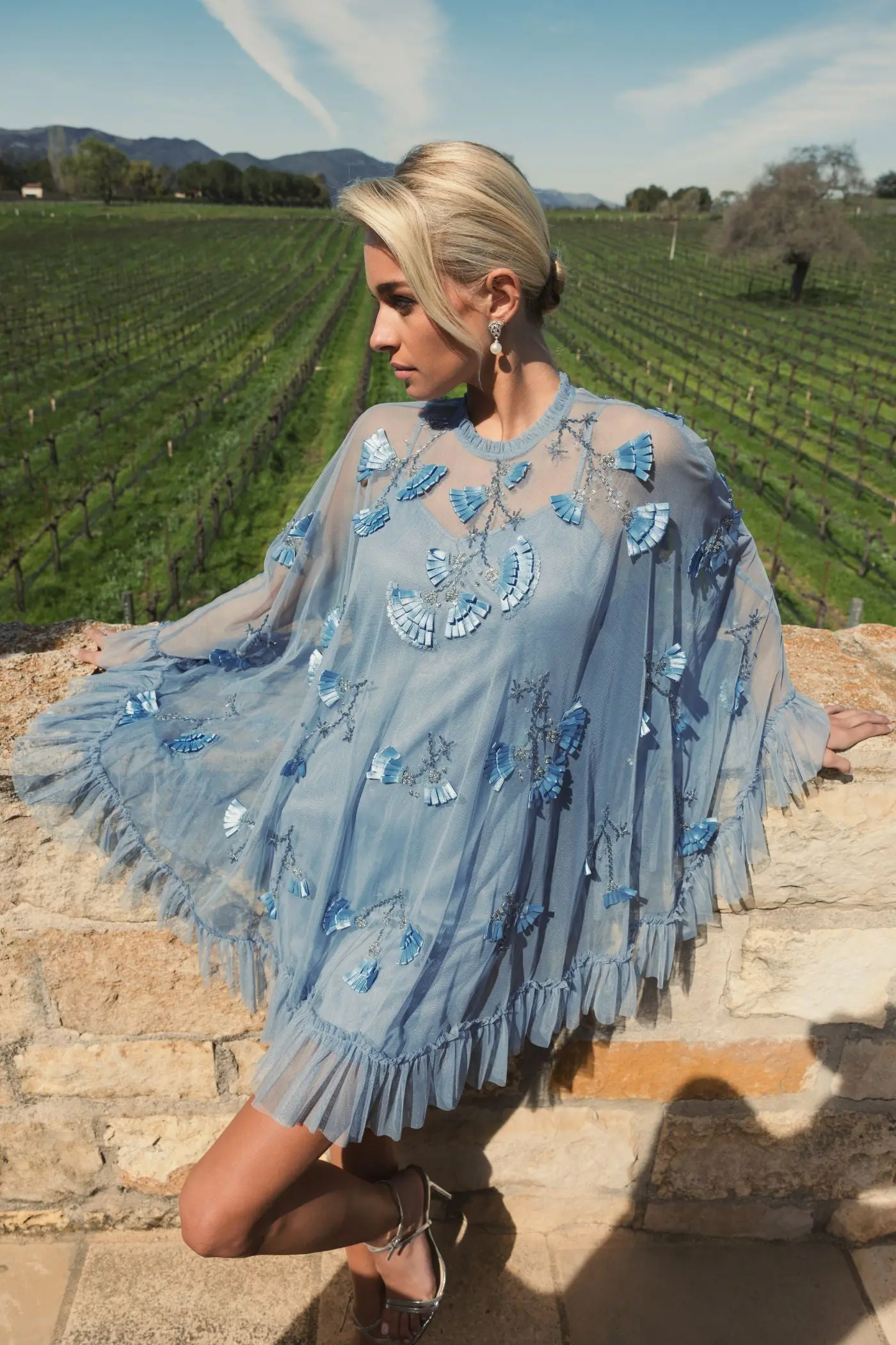 Blue Embellished Long Sleeve Trapeze Dress with Ruffle Hem - Image 5