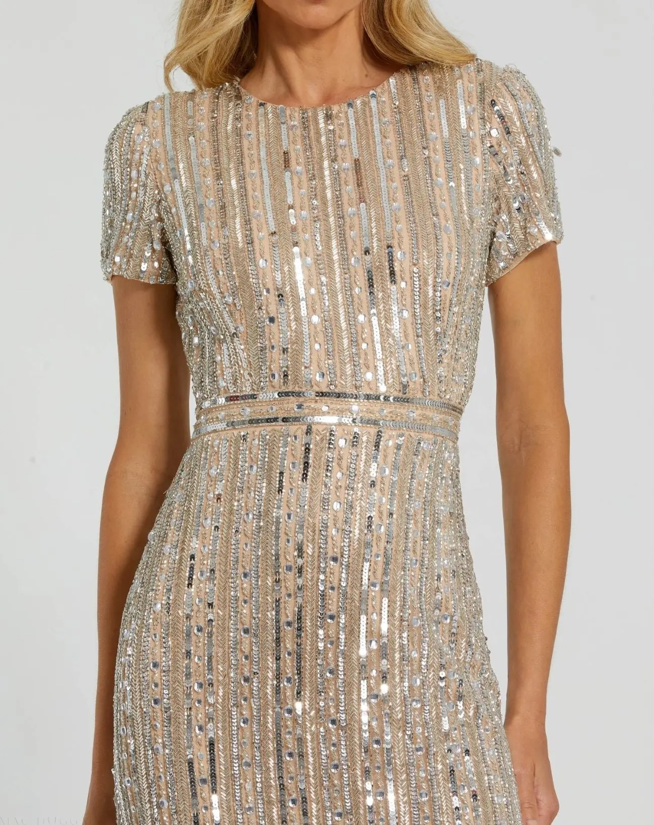 Beige and Silver High Neck Short Sleeve Embellished Gown - Image 2